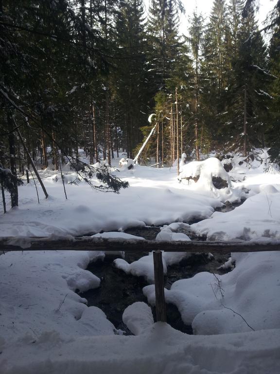 Ubytovanie Marta Vavreková Habovka Exterior foto
